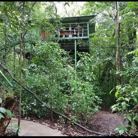 Jungle Living Tree Houses Monteverde Exterior foto