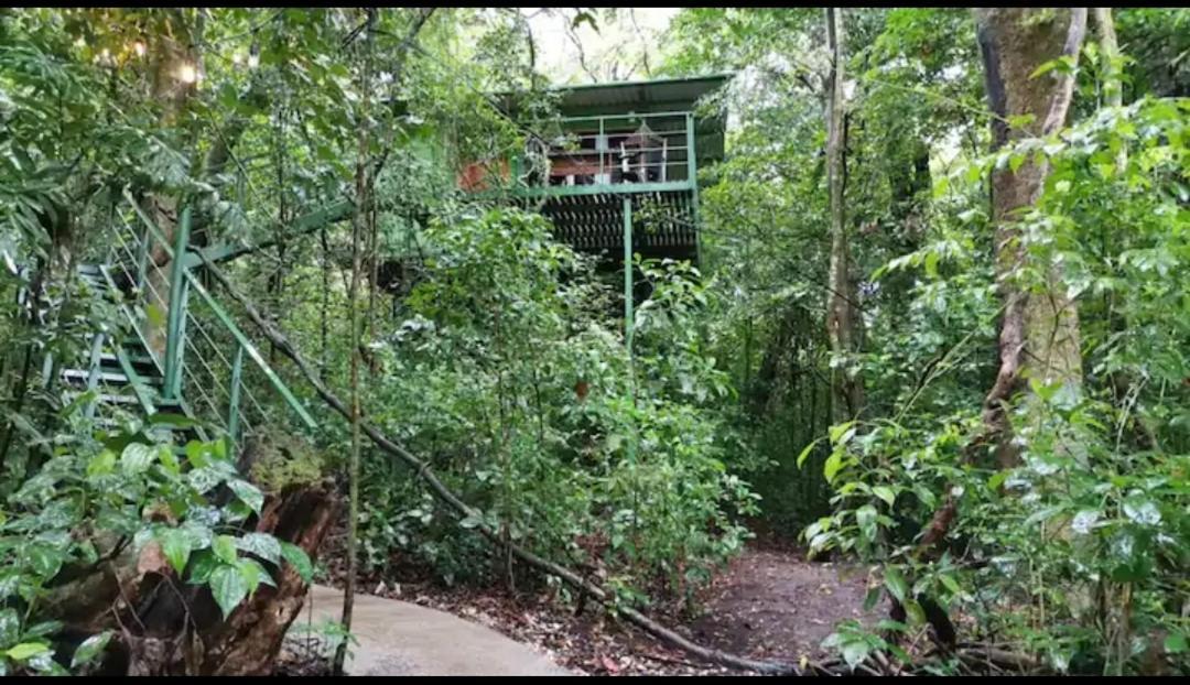 Jungle Living Tree Houses Monteverde Exterior foto