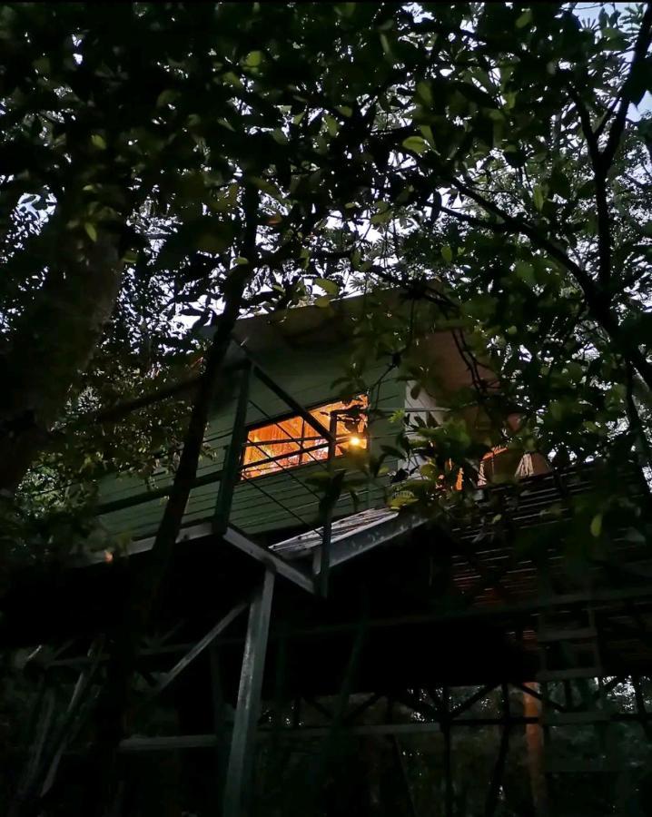 Jungle Living Tree Houses Monteverde Exterior foto