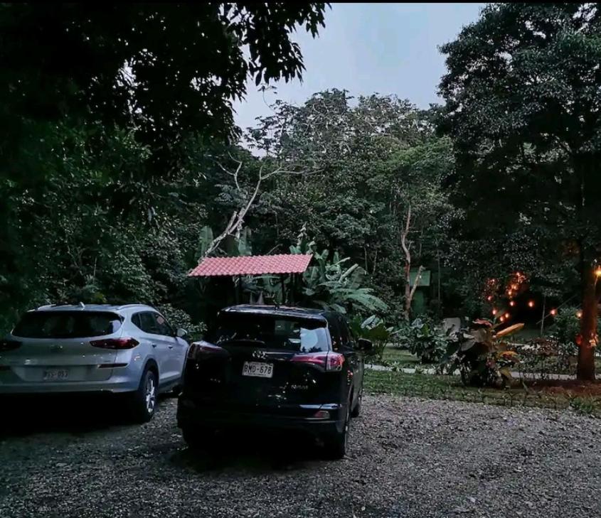 Jungle Living Tree Houses Monteverde Exterior foto