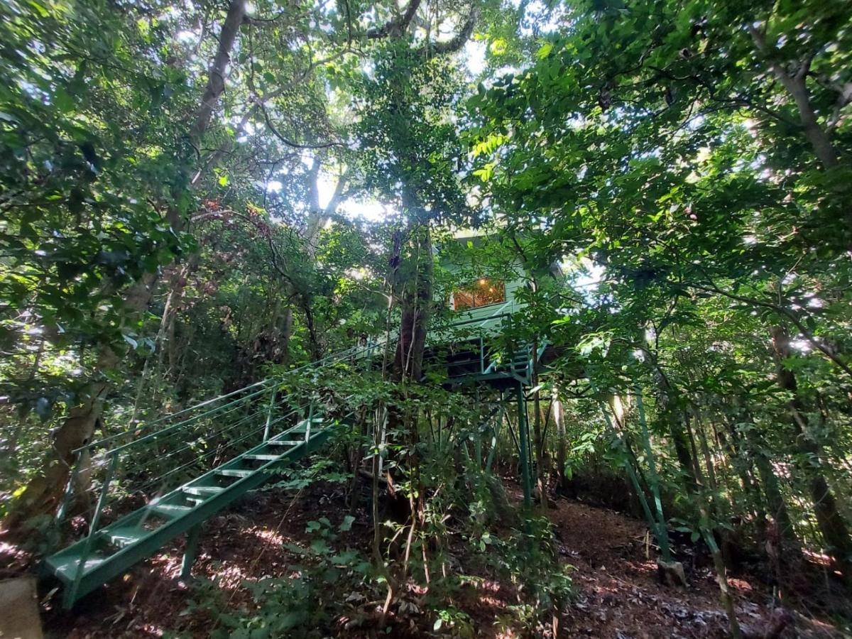 Jungle Living Tree Houses Monteverde Exterior foto