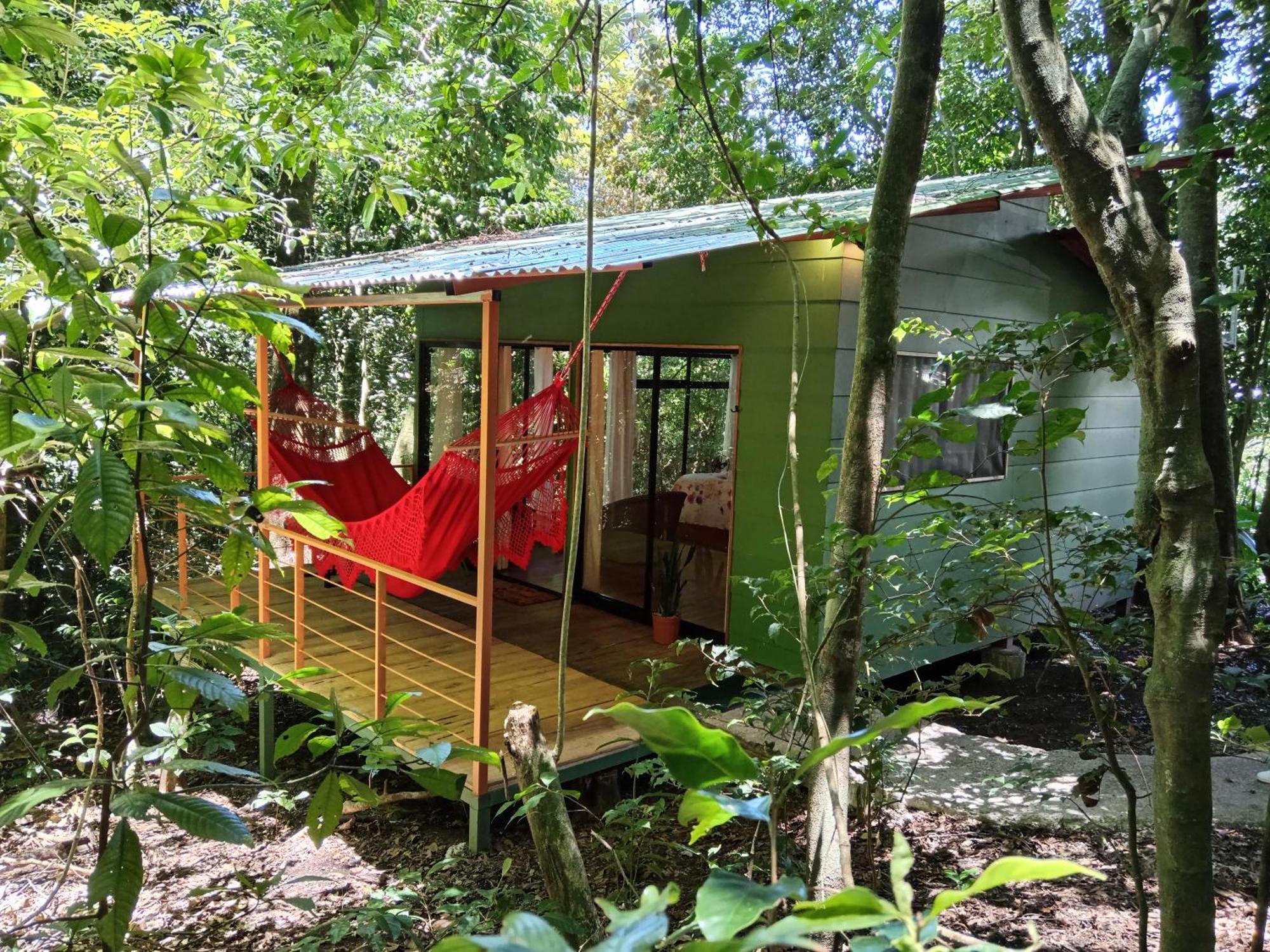 Jungle Living Tree Houses Monteverde Exterior foto