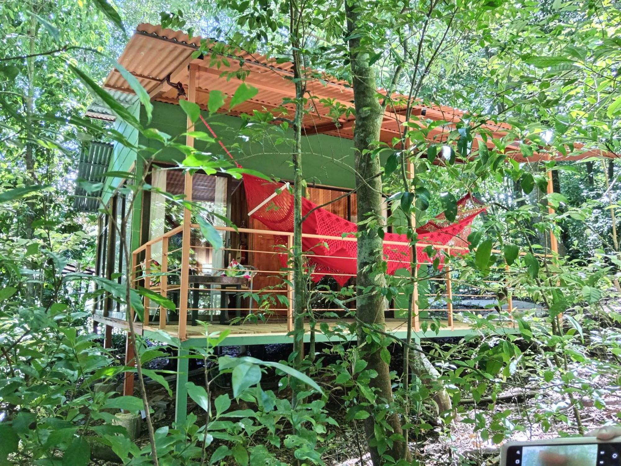 Jungle Living Tree Houses Monteverde Exterior foto