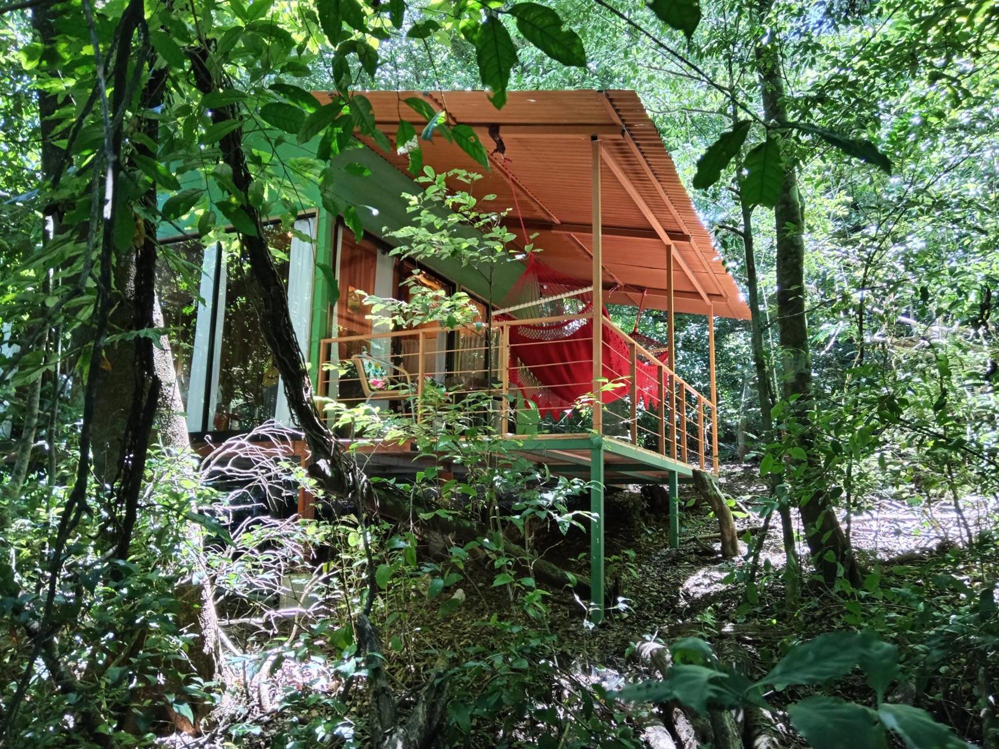Jungle Living Tree Houses Monteverde Exterior foto