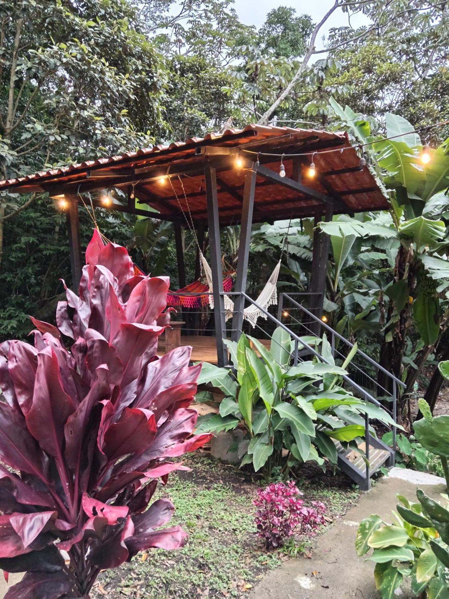 Jungle Living Tree Houses Monteverde Exterior foto