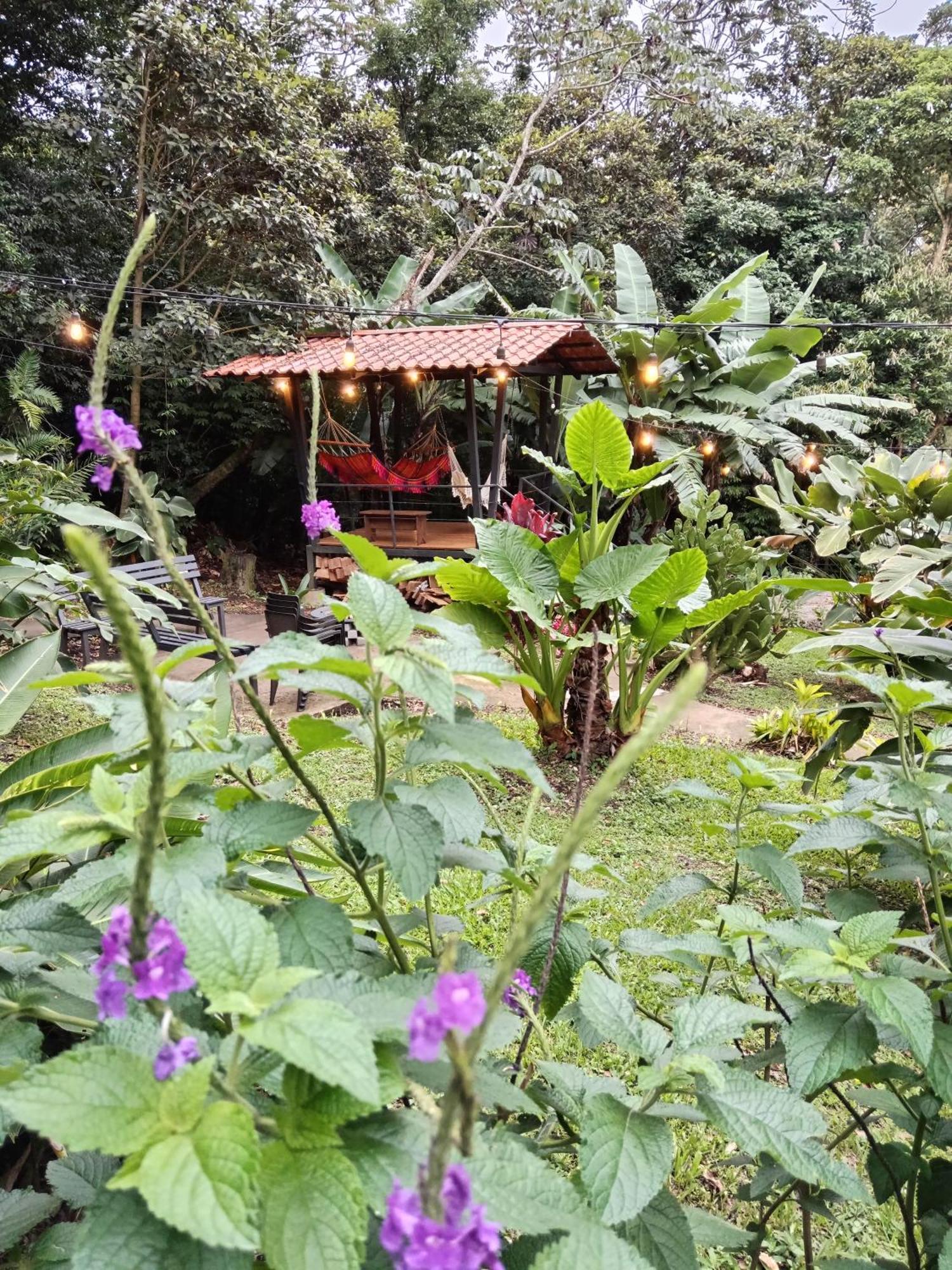 Jungle Living Tree Houses Monteverde Exterior foto