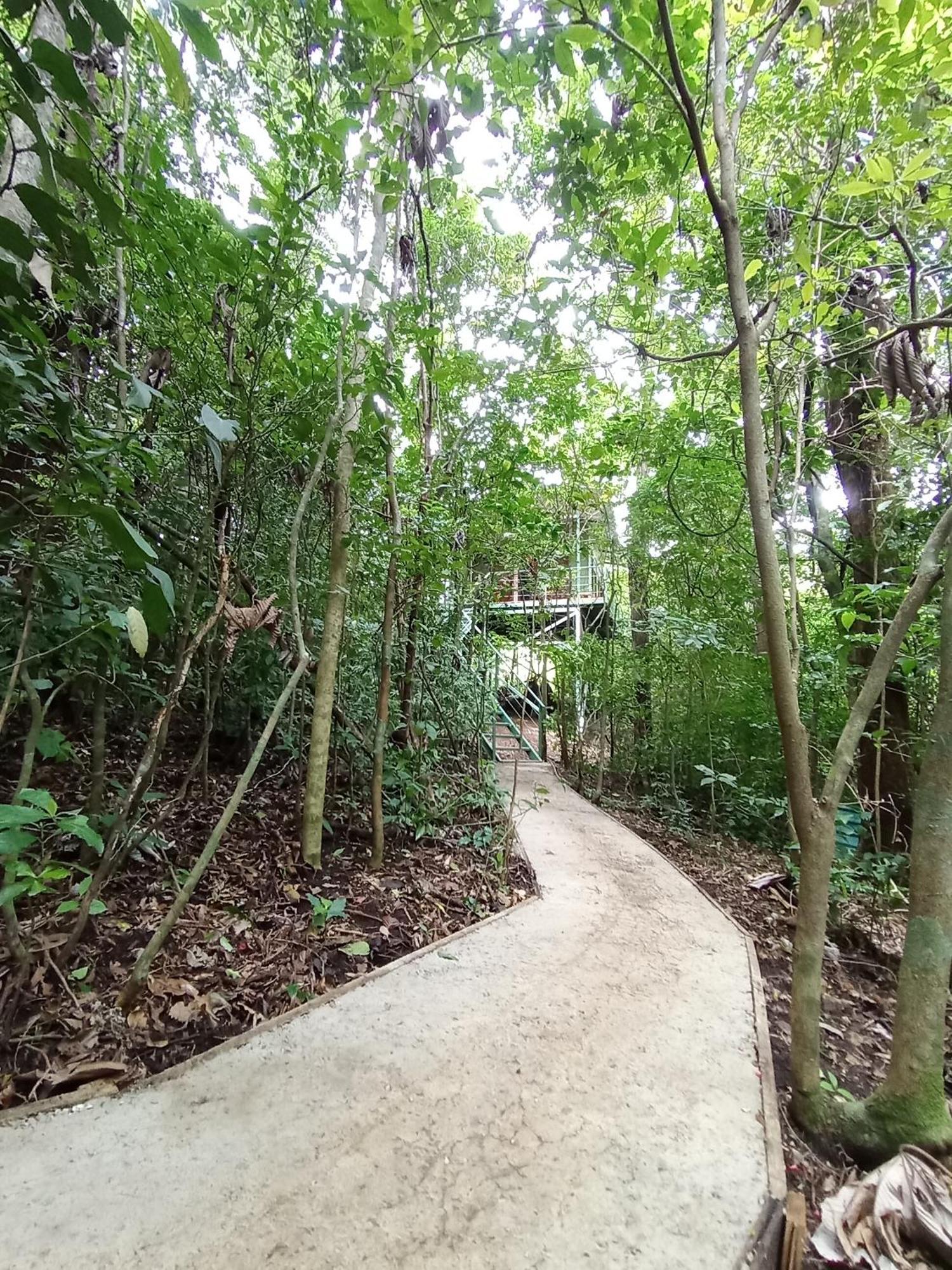 Jungle Living Tree Houses Monteverde Exterior foto