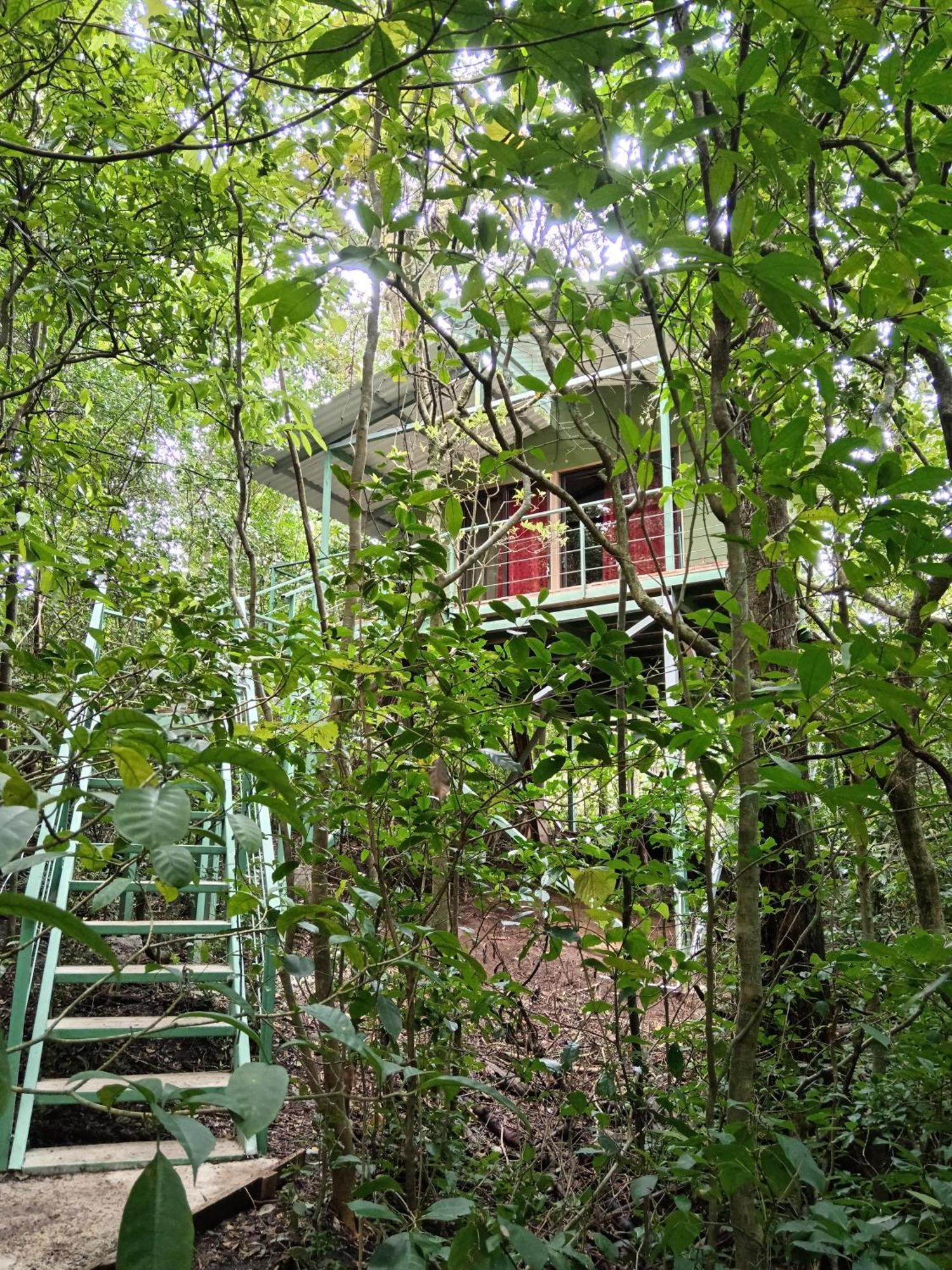 Jungle Living Tree Houses Monteverde Exterior foto