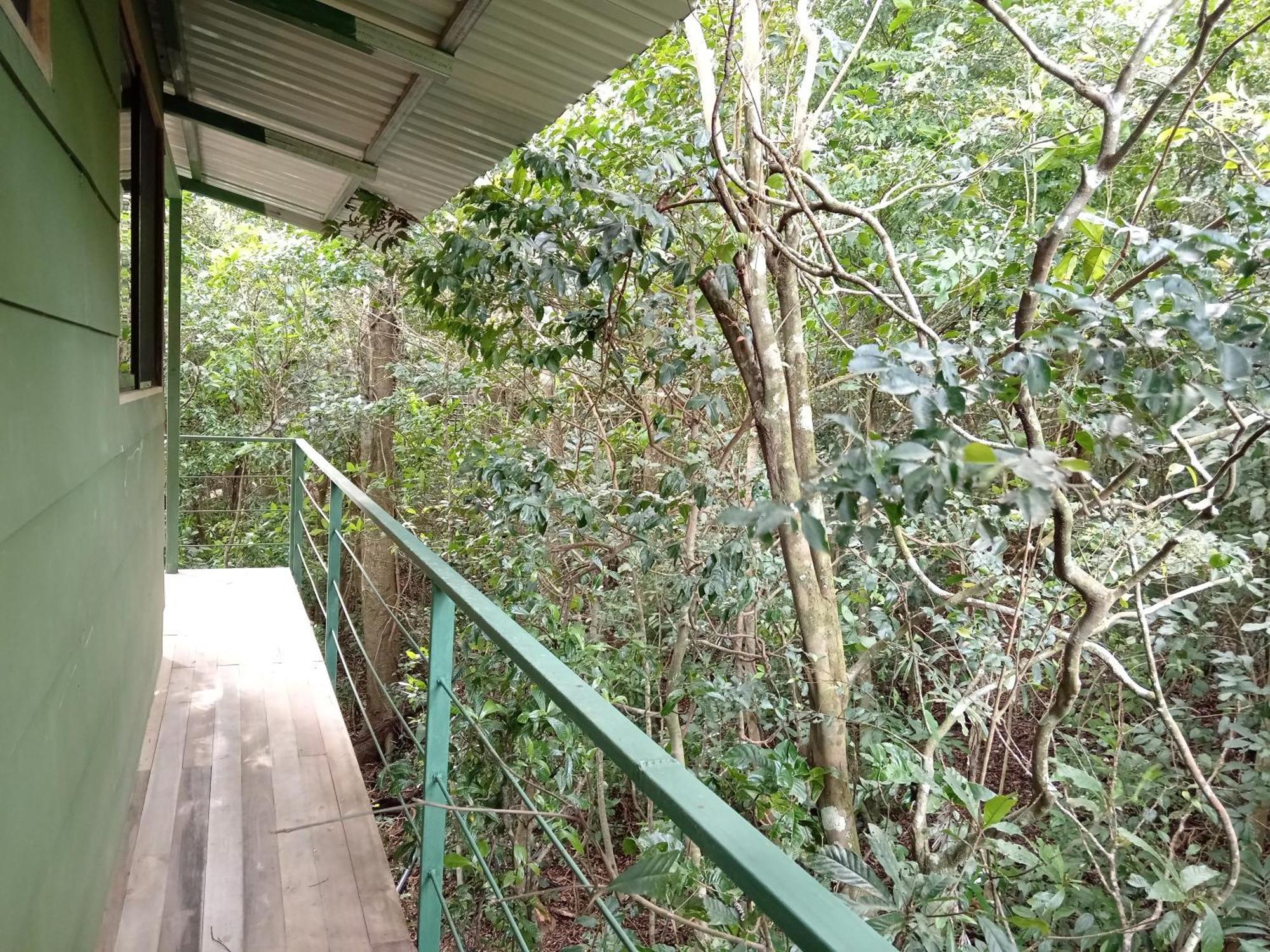 Jungle Living Tree Houses Monteverde Exterior foto