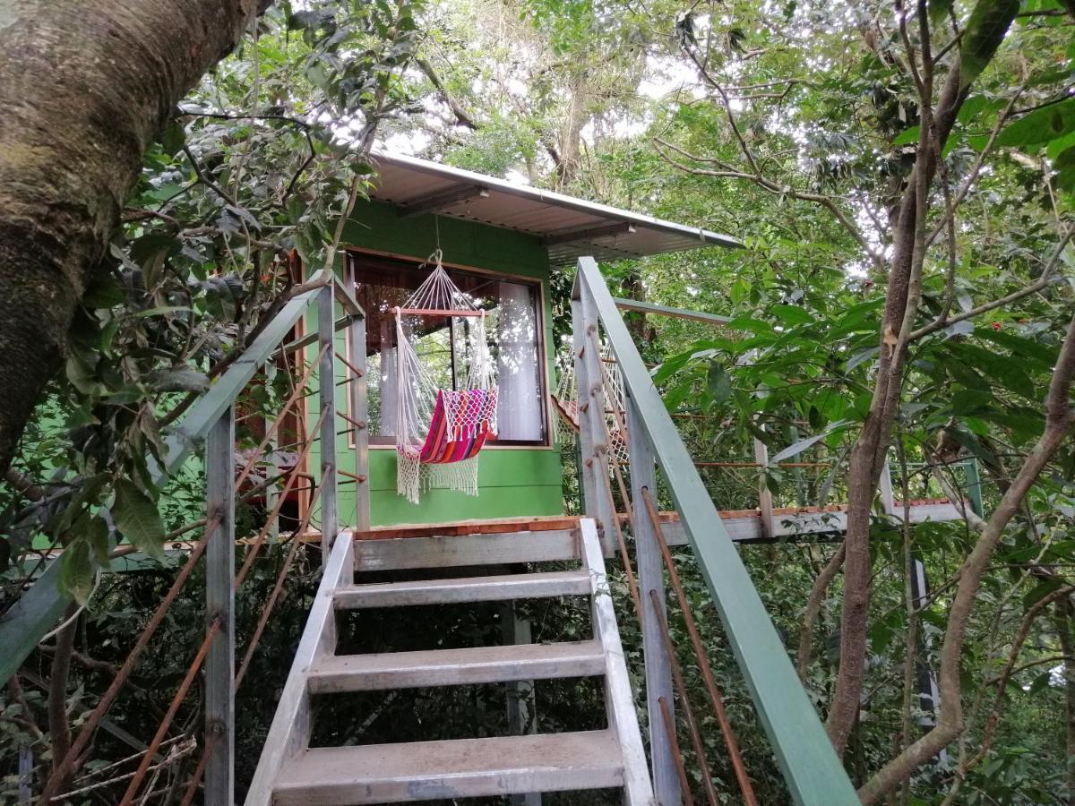 Jungle Living Tree Houses Monteverde Exterior foto